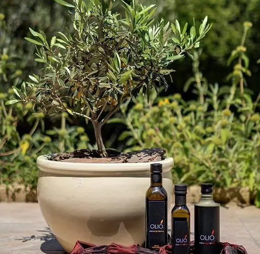 Appia Antica 5* Rome